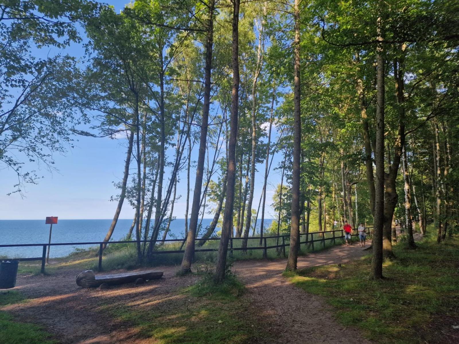 Osrodek Promenada- Puchatek