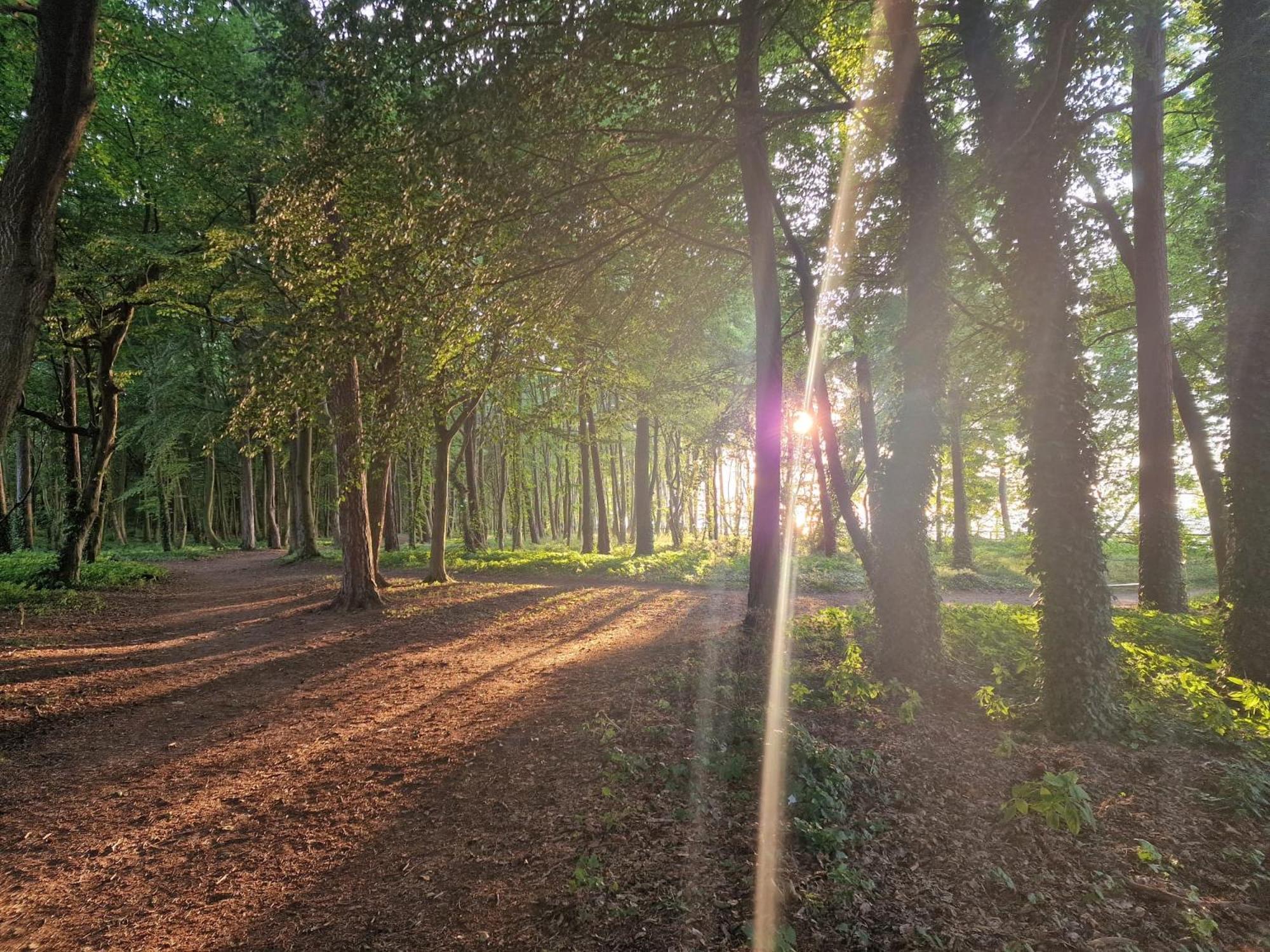 Osrodek Promenada- Puchatek * Jastrzębia Góra